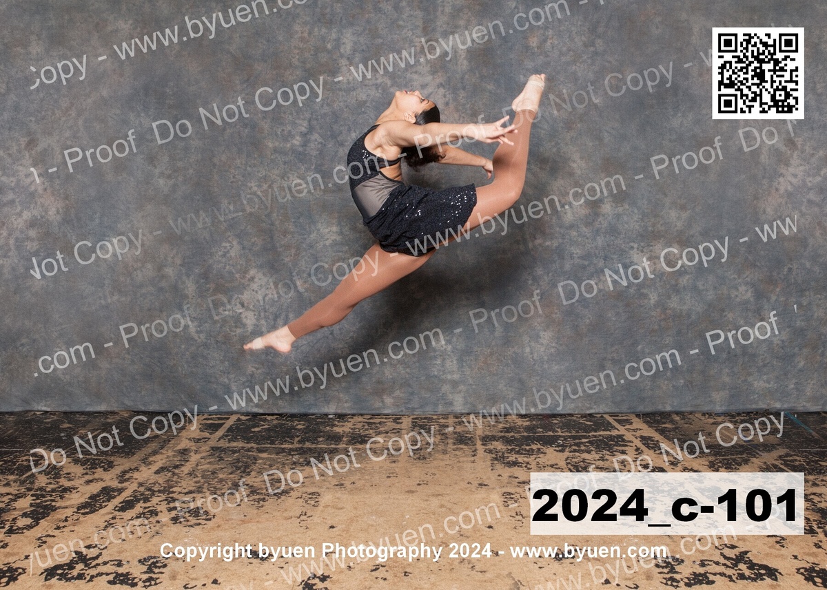 2024_c-101