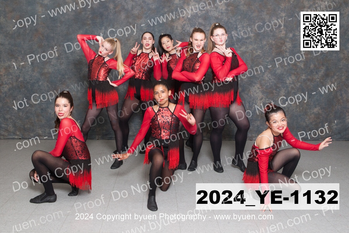 2024_YE-1132