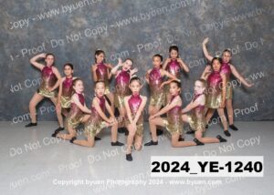 2024_YE-1240
