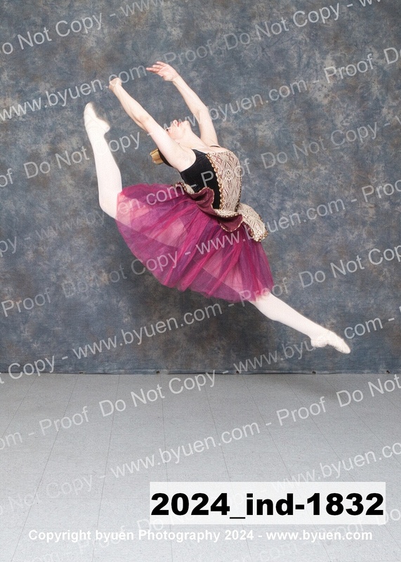 2024_Ind-1832