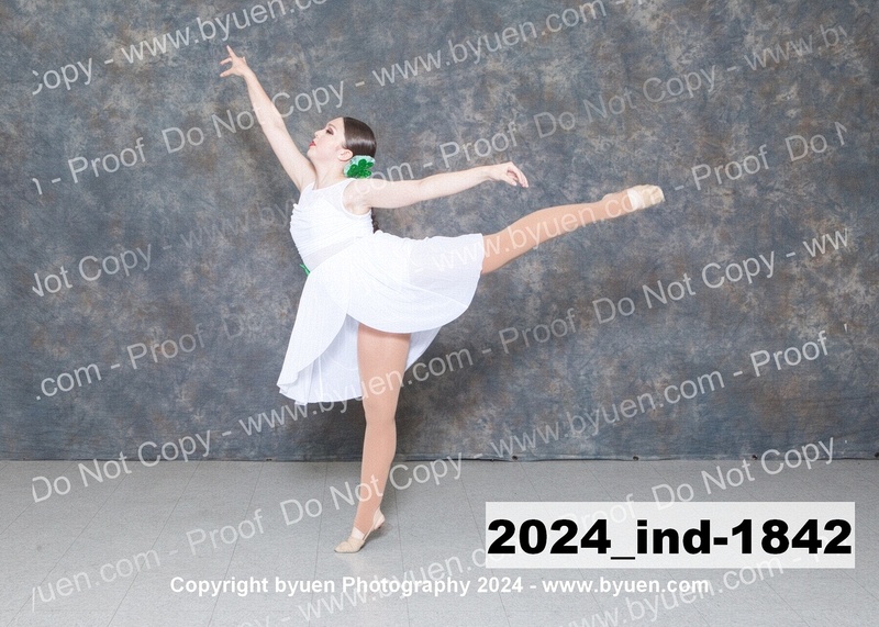 2024_Ind-1842