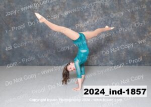 2024_Ind-1857