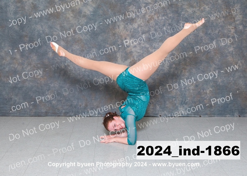 2024_Ind-1866