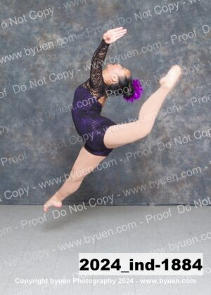 2024_Ind-1884