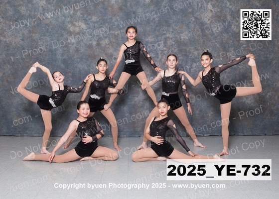 2025_YE-732