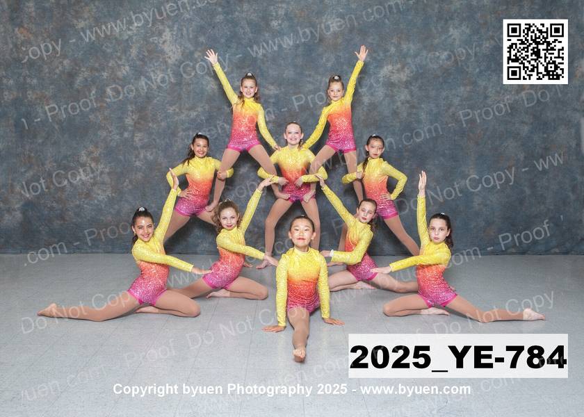 2025_YE-784