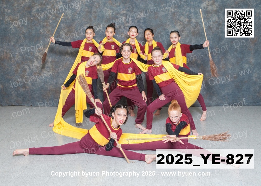 2025_YE-827