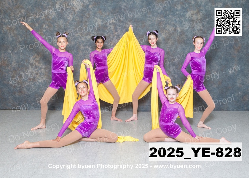 2025_YE-828