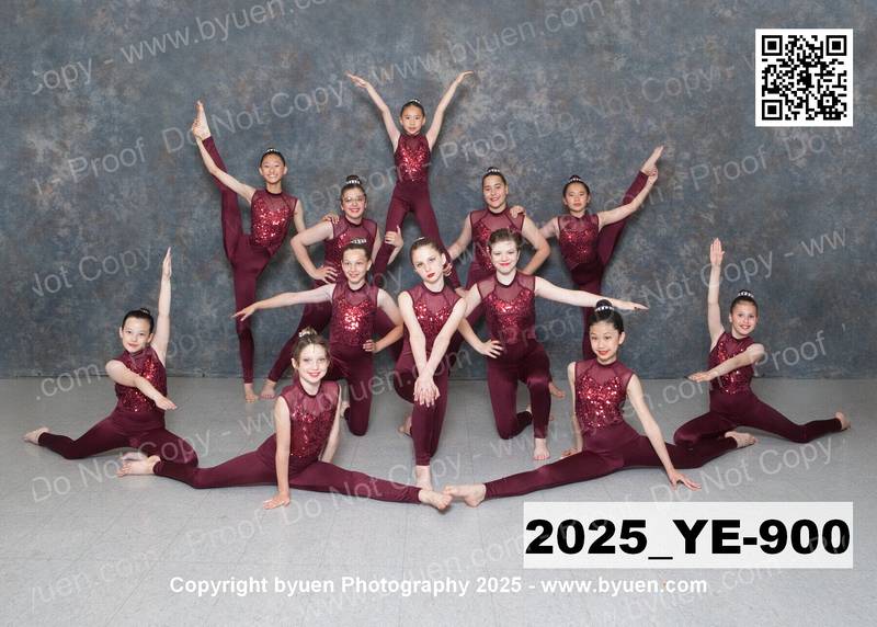 2025_YE-900