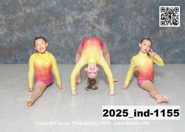 2025_ind-1155