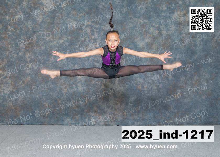 2025_ind-1217