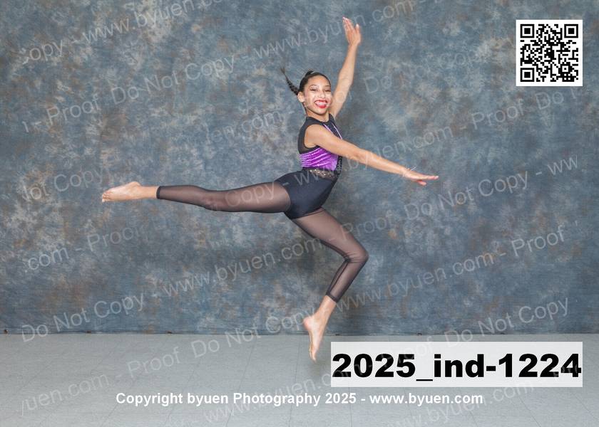 2025_ind-1224