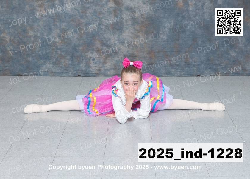 2025_ind-1228