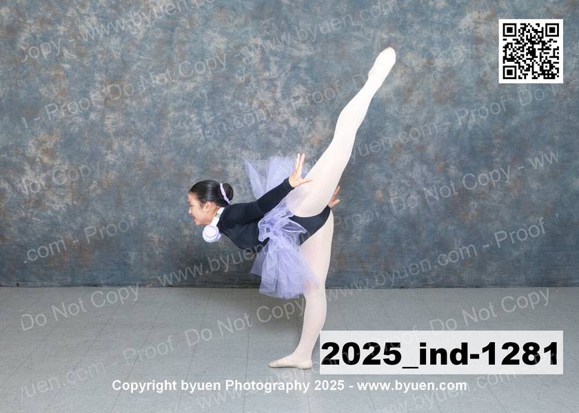 2025_ind-1281